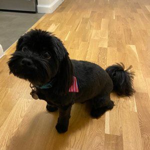 Meet your Posher, Dana